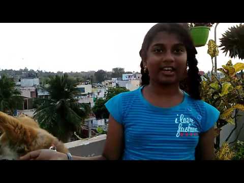 Teaching dog to give shake hand in ( easy)