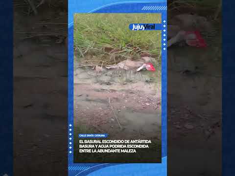 Micro Basural Escondido de la calle Santa Catalina en B° Antártida