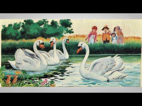 El Patito Feo ( Audio Cuento)