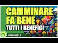 Camminare Fa Bene Benefici Della Camminata Veloce
