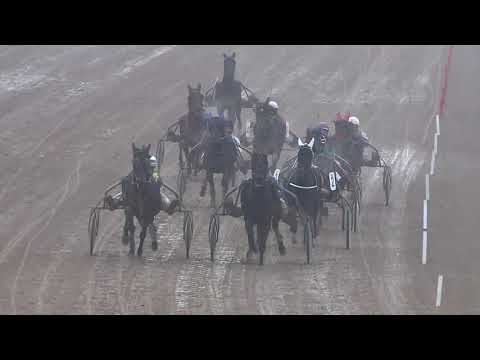 2019.12.07. 03. futam - MUSCICAPA HENDIKEP