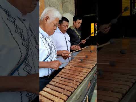 sunday marimba san antonio 2024