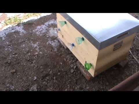 Stupul compact cu 9 nuclee pe cate 2 rame 1/1 si  fund anti-varroa - o scurta privire