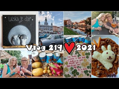 Vlog 219/21 - obrázek, zajíček a oslavička