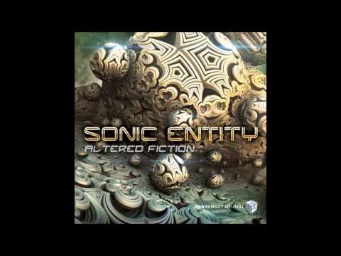 Sonic Entity - The Signal