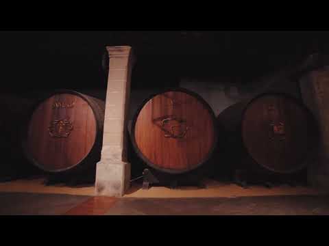 Bodegas Tio Pepe