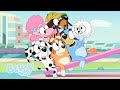 Os Melhores Episódios Da Série 2 40 MINUTOS Bluey Português Brasil Canal Oficial