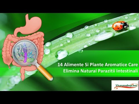 , title : '14 Alimente Si Plante Aromatice Care Elimina Natural Parazitii Intestinali Vivasan /Vivasan Romania'