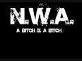 N.W.A. - A Bitch Iz A Bitch - With Lyrics 