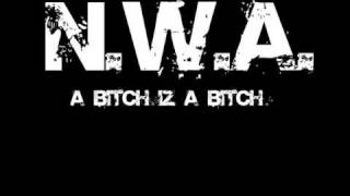 N.W.A. - A Bitch Iz A Bitch - With Lyrics