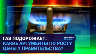 ГАЗ ПОДОРОЖАЕТ: КАКИЕ АРГУМЕНТЫ ПО РОСТУ ЦЕНЫ У ПРАВИТЕЛЬСТВА?