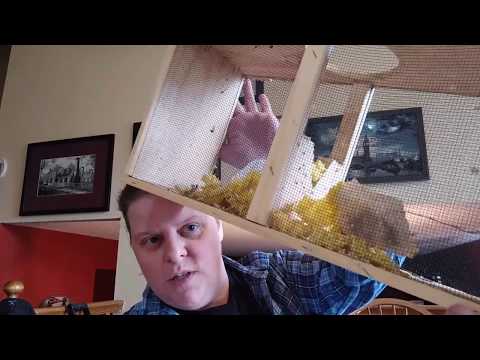 FlossTube #21: I finished something! WIPs! Cross-stitch is great!!