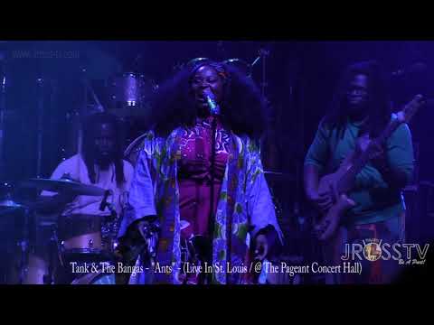 James Ross @ Tank & The Bangas - "Ants" - www.Jross-tv.com (St. Louis) live Pageant Concert Hall