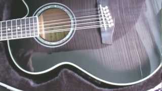 Video thumbnail for IBANEZ AEL2012E TKS 12 STRING GUITAR by TCJguitars