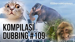 Download lagu BARUAK TAMVAN - KOMPILASI DUBBING #109 mp3