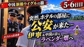 【中国🇨🇳ウイグルの旅】部屋に公安が来た…中国が誇るラベンダー畑&異国情緒あふれる街<伊寧>へ【5・6日目】
