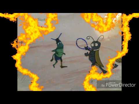 Grillen vs. Heuschrecken