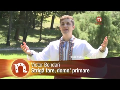 Victor Bondari - Strigă tare domn'primare