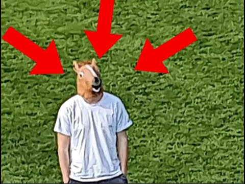 DayDee song (parody | official music video)