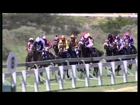 Tatler - Odessa Stud Fillies' Championship