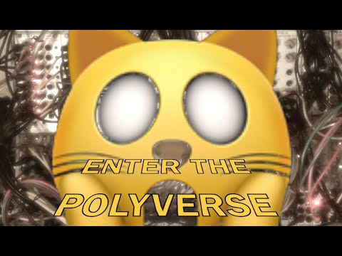 Enter The Polyverse: Patching the Doepfer Poly System