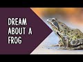 Dreams About a Frog | Biblical Meaning Of Frogs In Dreams