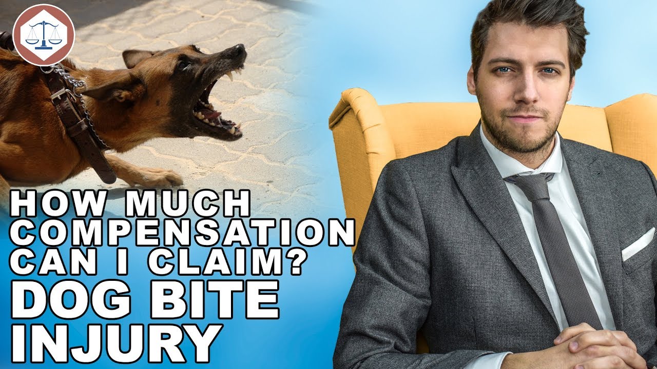 Dog Bite Compensation Claims Amounts? ( 2021 ) UK