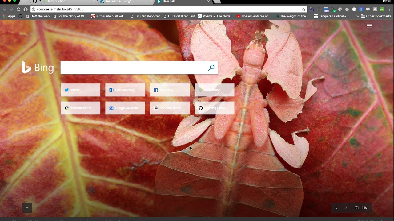 Drupal views, blocks, entities and token... tags