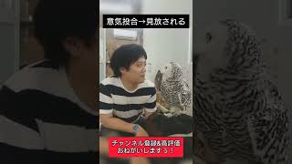 意気投合→見放される　#shorts