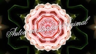 Birdtalker - Autodomesticated Animal (Official Video)