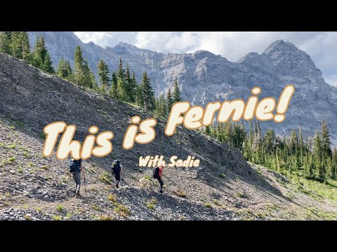 This Is Fernie! Episode 06 - AmbassadorWILD