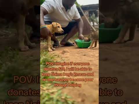 #dog #petssavingowners #doglover #animals #petwelfare #petowner #puppy #allpawsshelter #dogowner