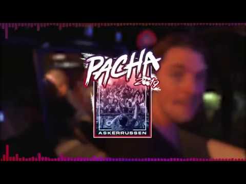 PACHA 2019 - Vebs