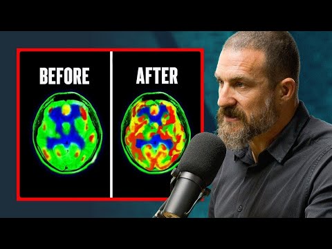 Dopamine Detoxing Is Misunderstood - Andrew Huberman