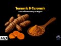 Turmeric and Curcumin : Anti-inflammatory or Hype?