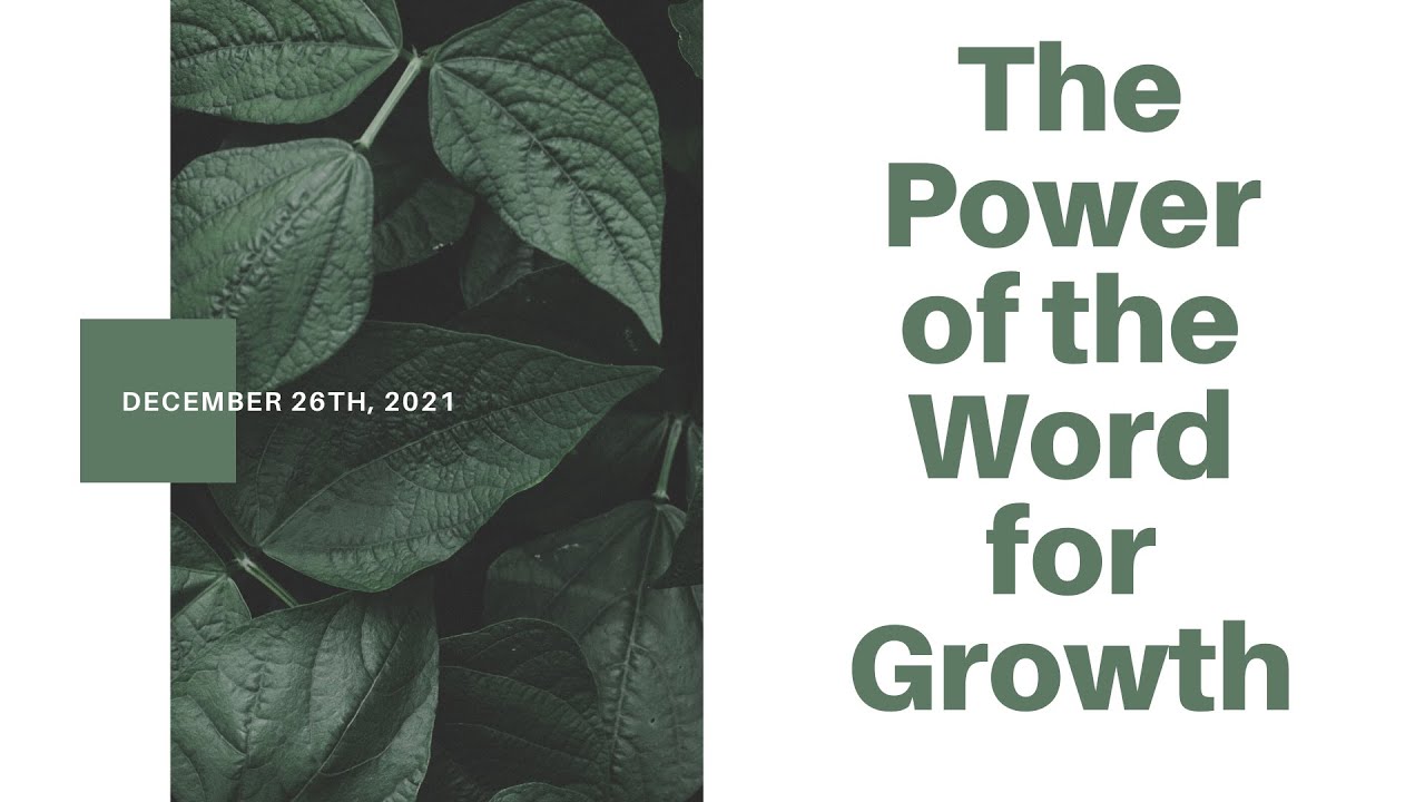 The Power of the Word for Growth