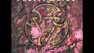 Pretty Maids - Eye Of The Storm [Live Version]