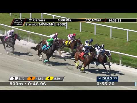 201107 c02 GAUCHO (BRZ)