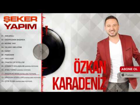 Özkan Karadeniz - Aksunun Akışı