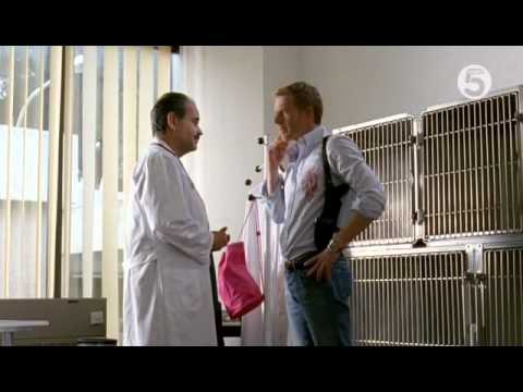 Rex Rómában: Életek veszélyben