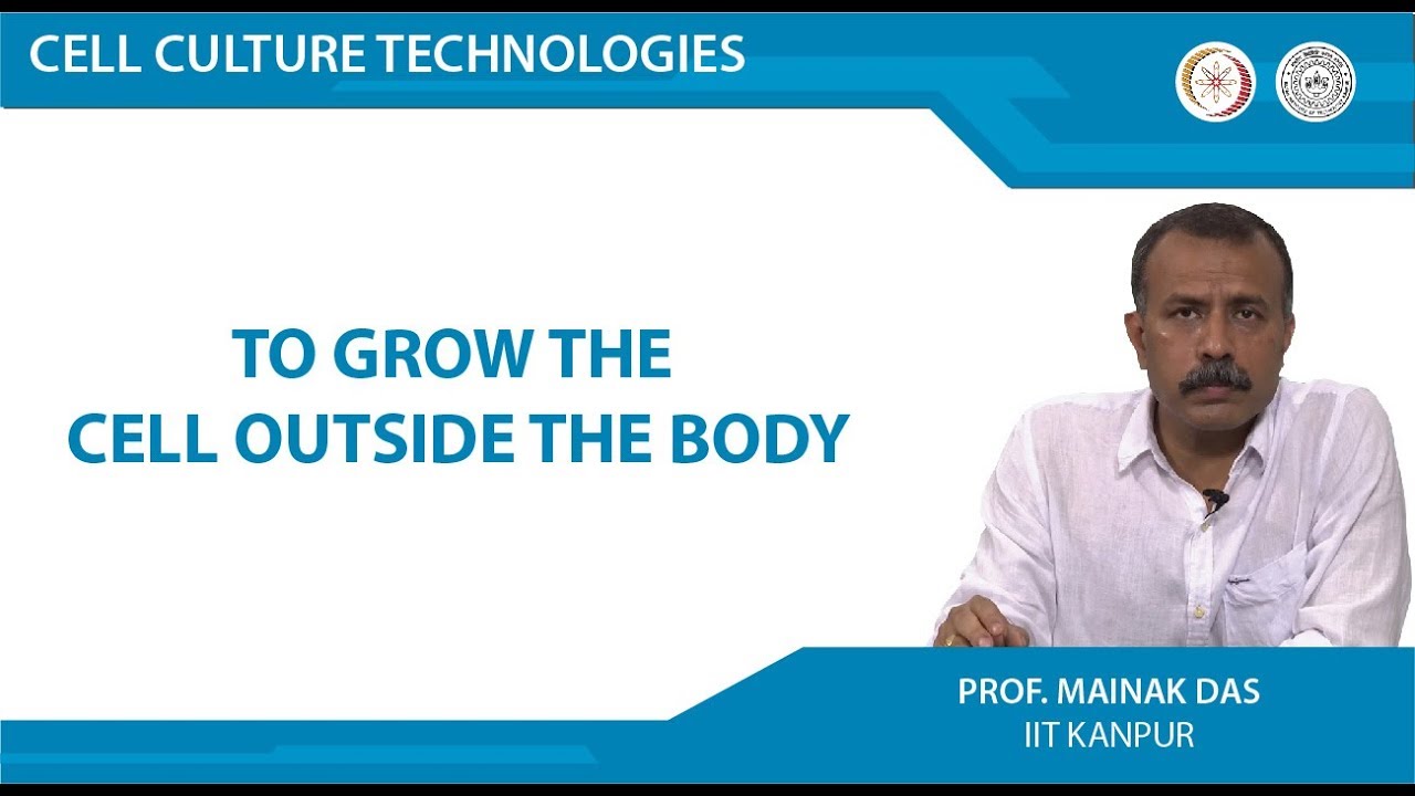 To grow the cell outside the body