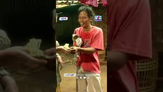 Download lagu Buset Dah Mandra Duitnye Banyak Bener.... Mpok Lela Ampe Girangπ€π€#sidoelanaksekolahan #rcti #mandra mp3 Download lagu Buset Dah Mandra Duitnye Banyak Bener.... Mpok Lela Ampe Girangπ€π€#sidoelanaksekolahan #rcti #mandra mp3