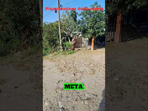 restaurante y piqueteadero en granada meta sobre la Troncal #realestate  #granadameta #fincallanos