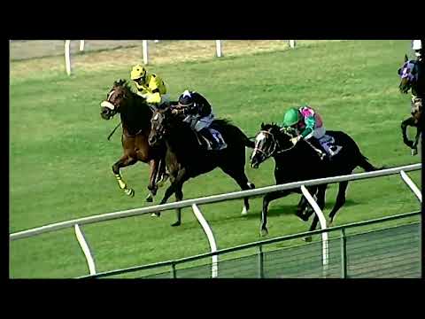 Napoli Galoppo 03/06/2022 - 3ª corsa