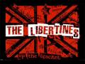 The Libertines - Can't Stand Me Now (with ...