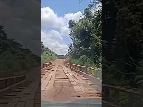 NA BR-422 TERRA INDÍGENA TROCARÁ DO POVO ASURINI DO RIO TOCANTINS #brasil #amazonia #forest #short