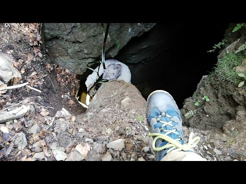 Altbergbau: Puchenstuben, Stollen 3 Einstieg oben