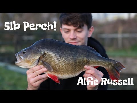 BIG PERCH fishing | Alfie Russell 4 & 5lb Perch