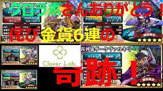 【ゆるドラシル】新ヴァルフェス！オススメ！侘び金貨ガチャで奇跡が！