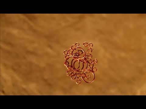 Embríon - Trailer